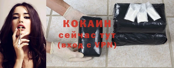 твердый Пестово