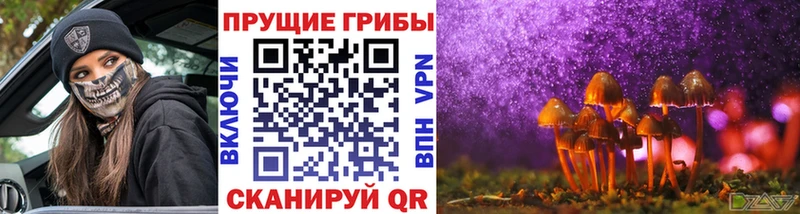 Купить  Калининград  Галлюциногенные грибы Magic Shrooms 